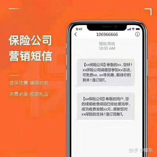 独立站起步阶段的短信策略