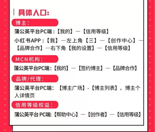 2. 内容原创与授权