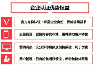 三、 快手蓝v功Neng与认证好处