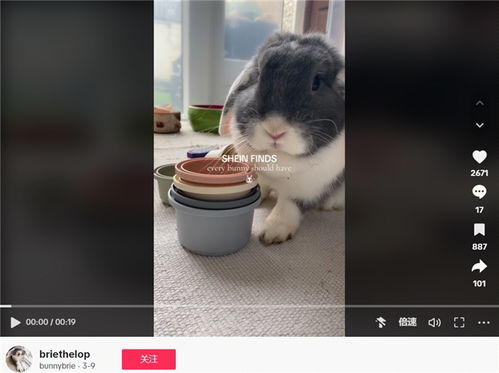 动态价格调控：激发消费者购买冲动