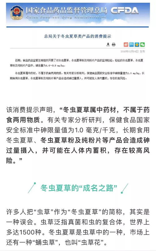 案例分析：雨夏一整晚的成功之道