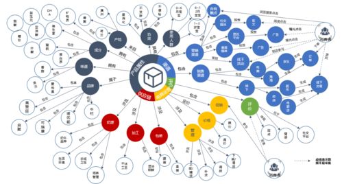 打破传统链条：DTC模式与消费者建立紧密关系