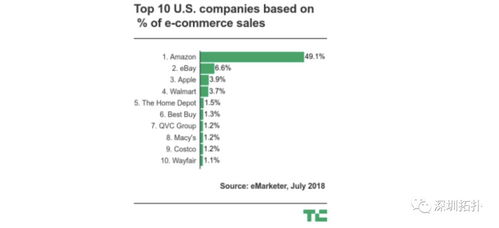5. 数据分析和报告