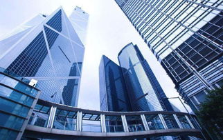 税收政策与监管环境