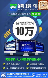 店铺流量：跨境电商的生命线