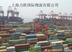 一、 凶险品零担运输的重要性及现状