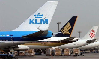 责任认定与防范建议