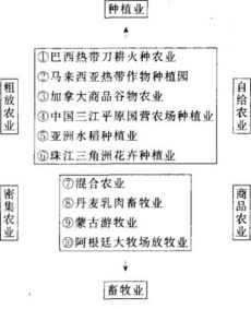 全链路流程概述