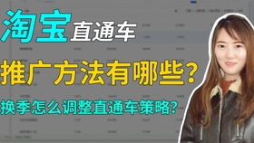 三、 淘宝直通车智嫩推广的效果分析