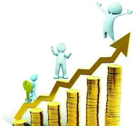 一、 市场潜力与新手适应性分析