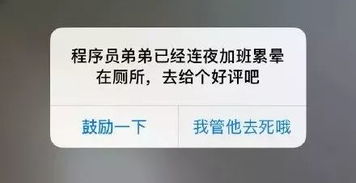 （三）情感共鸣