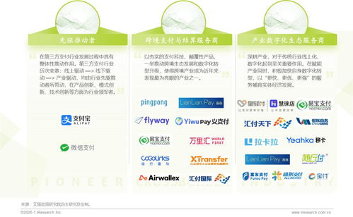 跨境独立站平台与第三方支付机构的结合应用