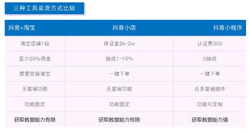一、 个人网上卖货平台概述