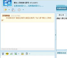一、 市场背景与目标定位