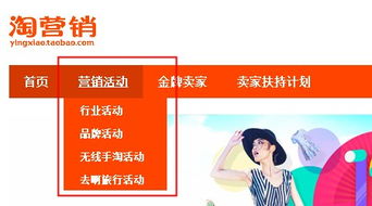 二、手淘营销技巧解析