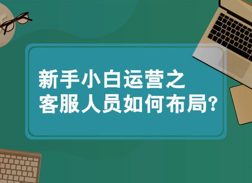 代销模式的适宜性探讨
