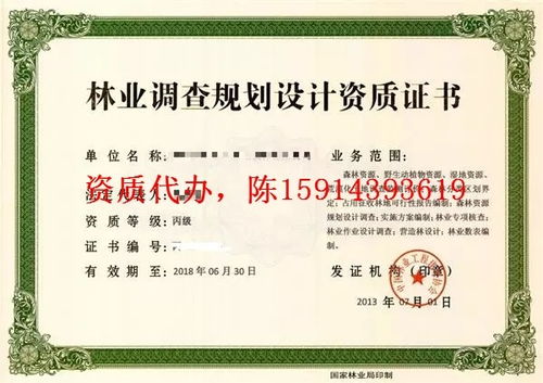 构建完善的风险控制体系：多重保障的必要与实施