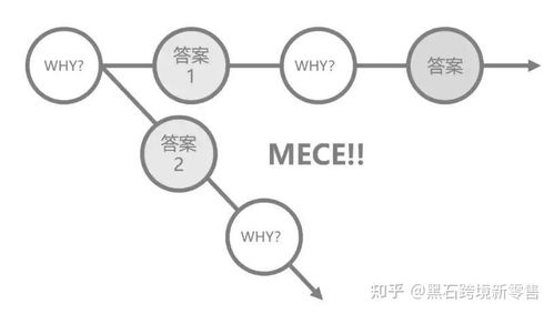 一、 外贸独立站运营概述