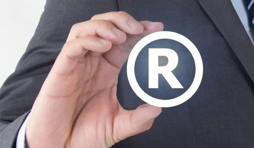 5. 相似商标的审查