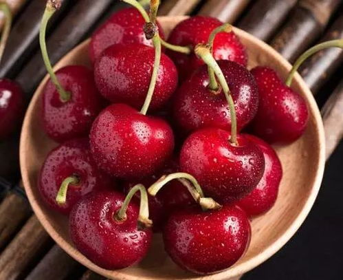 首船靠港联合发布会