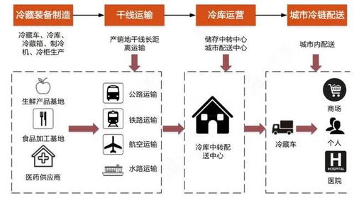医药冷链合规的责任链条