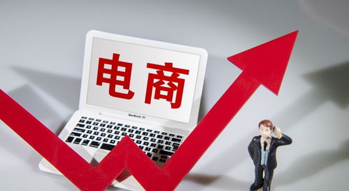 影响电商Neng否在一年内实现500万销售额的关键因素