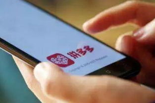 拼多多仅退款教程的实践应用