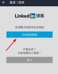 领英的全球影响力