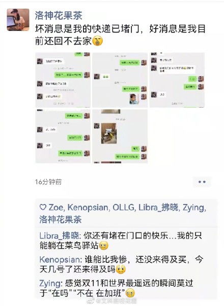 一、 双11购物狂欢背后的物流困境