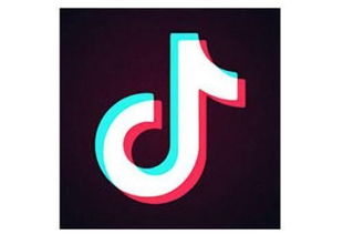 精准定位，打造垂直内容