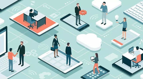 社交电商整合：一站式运营， 拓展资源