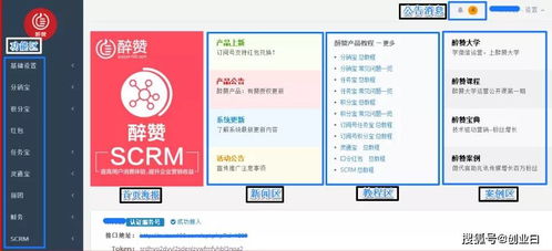 五、 实战策略与运营技巧（结合自检最终还是结果是制定较长期规划）