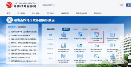 利用平台自带的搜索联想工具， 洞察用户真实搜索痕迹