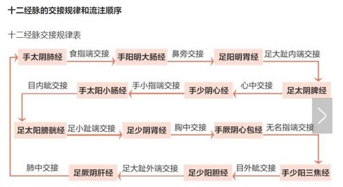 鉴定流程的严谨性