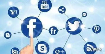 4. 社交媒体管理工具