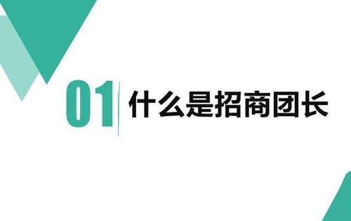 一、 淘宝联盟招商团长简介