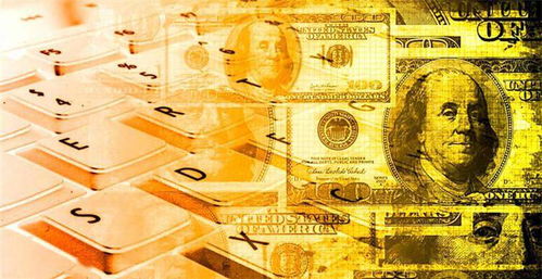 三、 品牌要求与合规性