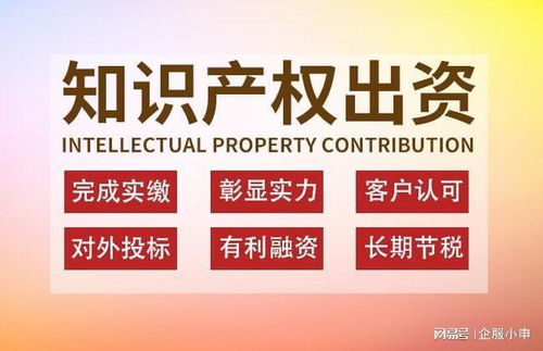 二、 法国公司注册资本的缴纳方式