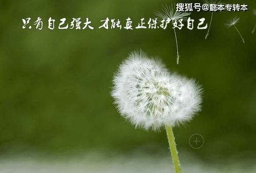 四、 蒲公英平台的优势