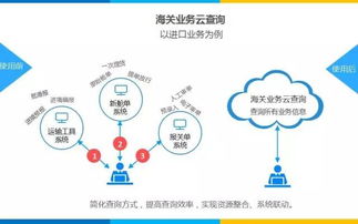美国海关服务的具体操作