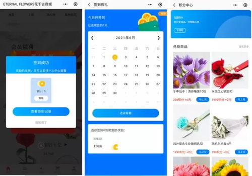 平台大促前的优化策略