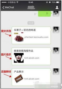 二、 淘宝店铺装修模板中的主图模板