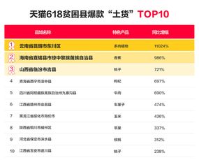 618大促激励计划全面解析