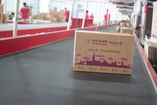 一、 京东入驻流程概述