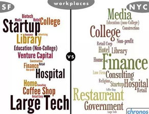 二、 卡派服务：物流环节的复杂性与挑战