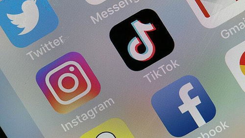 TikTok与Lemon8的整合