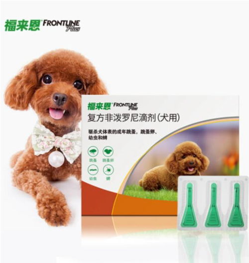 京东服务+春节期间继续营业，为用户提供专业服务