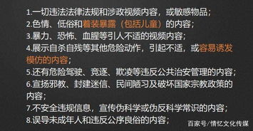 抖音播放量与收益的关系：不可忽视的点赞力量