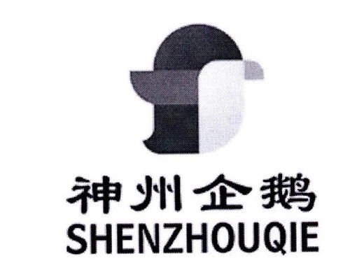 六、 维护与管理：商标注册后的持续工作