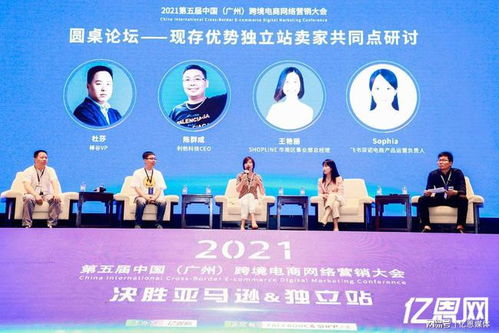 提升品牌价值：独立站的力量